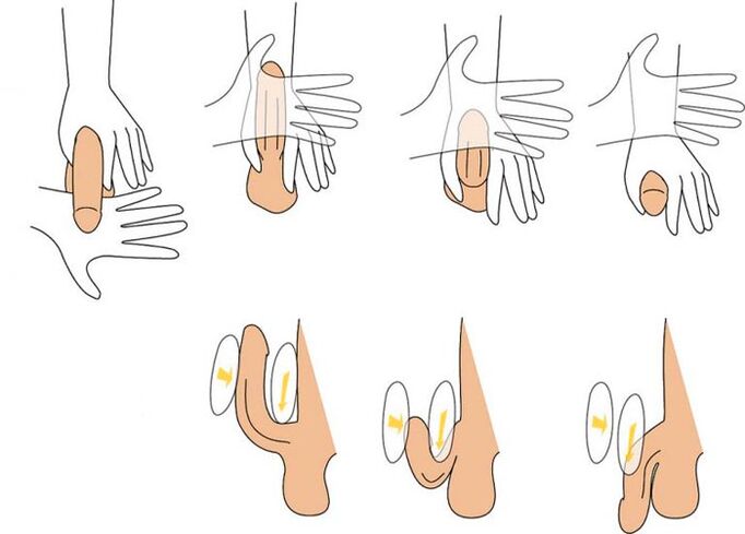 Beugen Sie den Penis, um ihn zu vergrößern